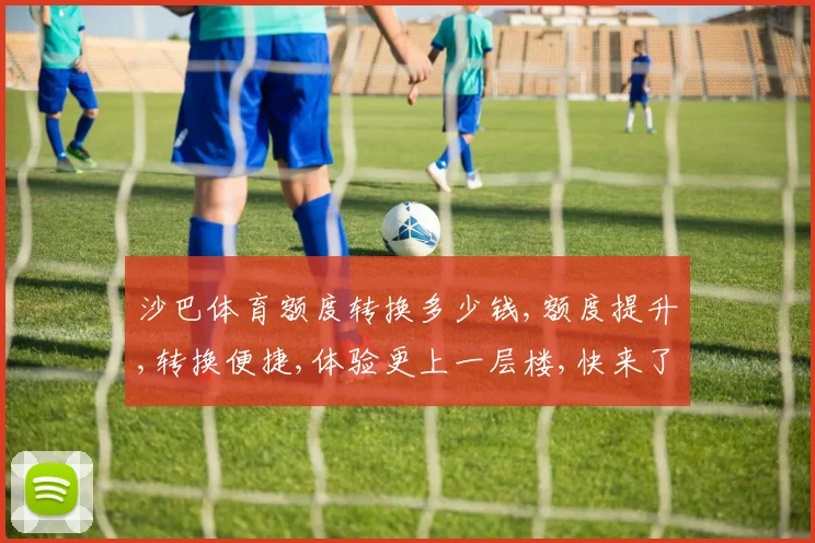 沙巴体育额度转换多少钱,额度提升,转换便捷,体验更上一层楼,快来了解详情